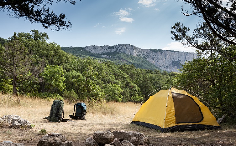 Cheap Backpacking Tent Under $100 2022: Buying Guide