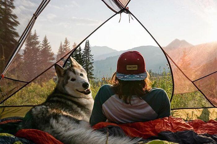 10 Best Tents For Camping With Dogs 2022: