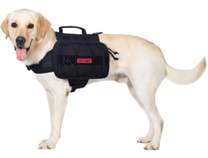 Best Dog Backpack For Hiking