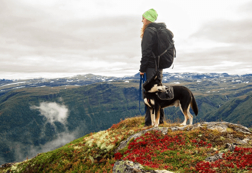 Can you hike with dog in backpack