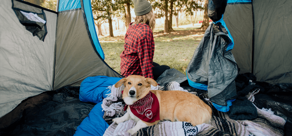 How do you camp in a tent with a dog